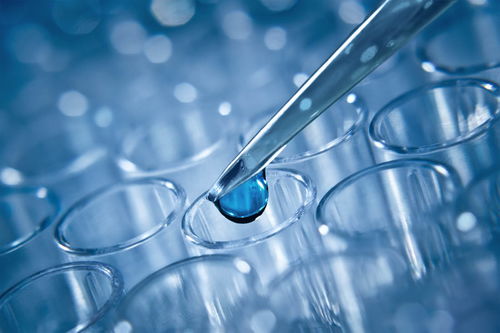 試管嬰兒技術(shù)詳解 一代、二代與三代的區(qū)別及其技術(shù)推廣服務(wù)